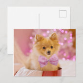 Puppy met Bow Briefkaart (Voorkant / Achterkant)