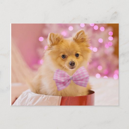 Puppy met Bow Briefkaart (Voorkant)