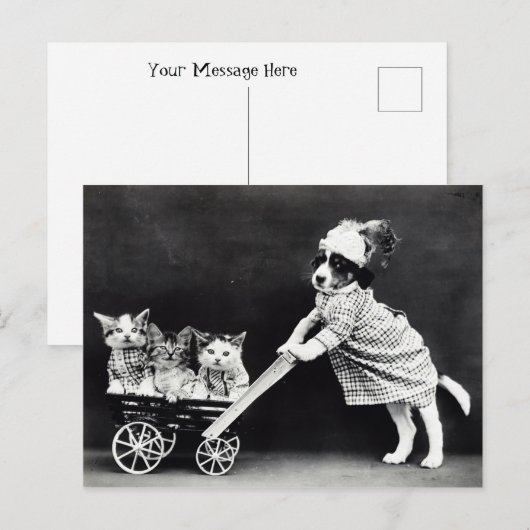 Puppy met Drie Kittens in een Carriage Briefkaart (Voorkant / Achterkant)