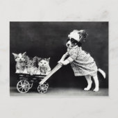 Puppy met Drie Kittens in een Carriage Briefkaart (Voorkant)