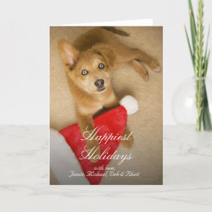 Puppy met het pet van de Kerstman Feestdagen Kaart