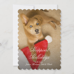 Puppy met het pet van de Kerstman Feestdagenkaart