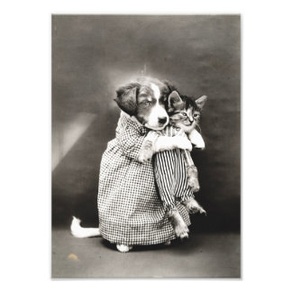 Puppy met kleine kitten foto afdruk