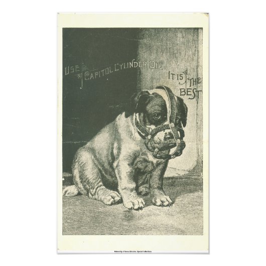 Puppy met Muzzle Ephemera Foto afdrukken (Voorkant)