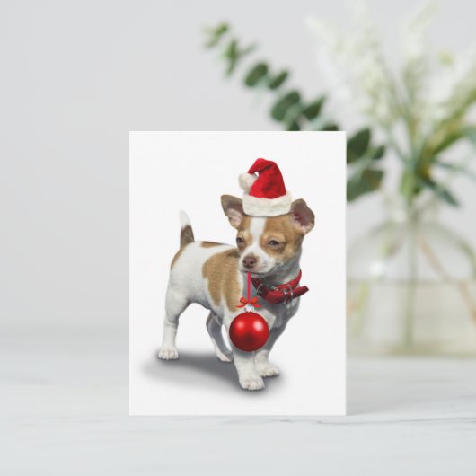 Puppy met pet voor kerst en bal briefkaart (Staand voorkant)