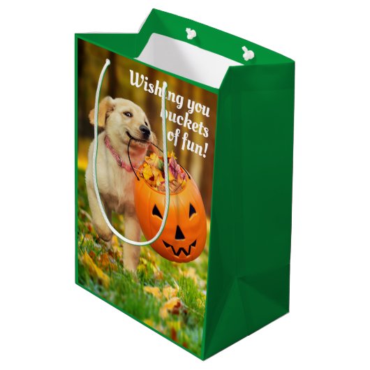 Puppy met pompoen Bucket Medium Cadeauzakje (Achterkant Gekanteld)