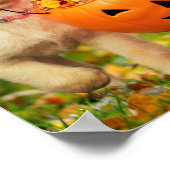 Puppy met pompoen Bucket Poster (Hoek)