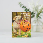 Puppy Met Pompoen Emmer Uitnodiging Briefkaart (Staand voorkant)