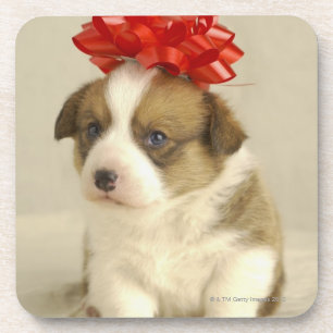 Puppy met rode boog drankjes onderzetter