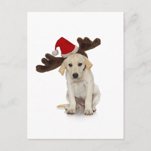 Puppy met Santa Hat en rendieroorten Feestdagenkaart (Voorkant)