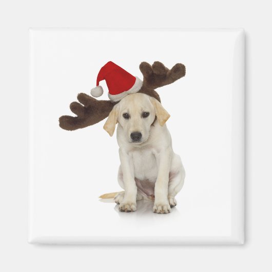 Puppy met Santa Hat en rendieroorten Magneet (Voorkant)