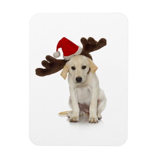 Puppy met Santa Hat en rendieroorten Magneet (Verticaal)