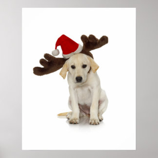 Puppy met Santa Hat en rendieroorten Poster