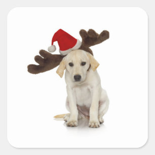 Puppy met Santa Hat en rendieroorten Vierkante Sticker