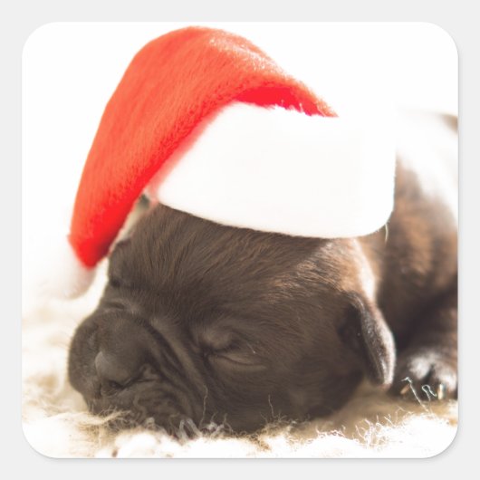 PUPPY MET Santa hat STICKER (Voorkant)