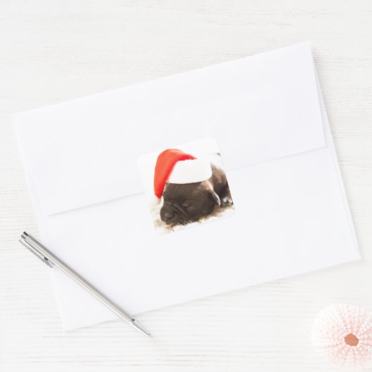 PUPPY MET Santa hat STICKER (Envelop)