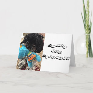 PUPPY MET SPEELGOED ZEGGEN DAT JE OP TURING BENT * KAART