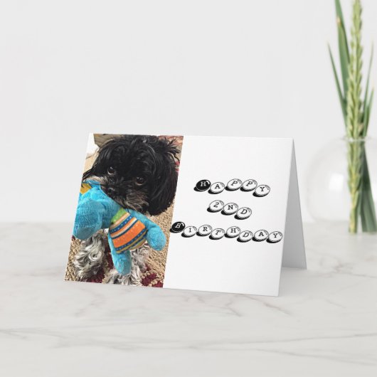 PUPPY MET SPEELGOED ZEGGEN DAT JE OP TURING BENT * KAART (Voorkant)