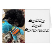 PUPPY MET SPEELGOED ZEGT DAT JE OP TURING BENT *** (Voorkant Horizontaal)