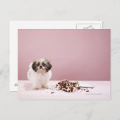 Puppy met taart op de vloer briefkaart (Voorkant / Achterkant)