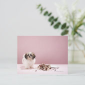 Puppy met taart op de vloer briefkaart (Staand voorkant)