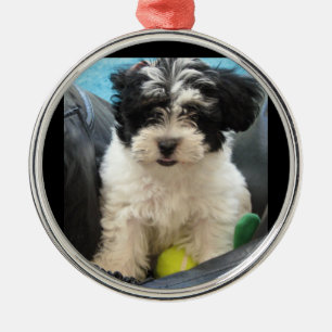 Puppy met Tennis Ball Rescue Metalen Ornament