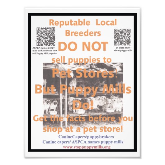 Puppy Mill Awareness Poster (Voorkant)
