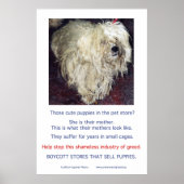 Puppy Mills Breed Misery Poster (Voorkant)