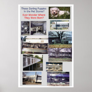 Puppy Mills Breed Misery Poster