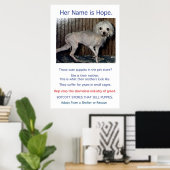 Puppy Mills Breed Misery Poster (Thuiskantoor)