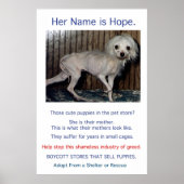 Puppy Mills Breed Misery Poster (Voorkant)