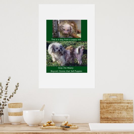 Puppy Mills Breed Misery Poster (Keuken)