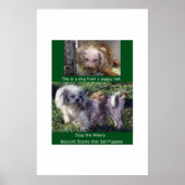 Puppy Mills Breed Misery Poster (Voorkant)
