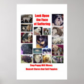 Puppy Mills Breed Misery Poster (Voorkant)