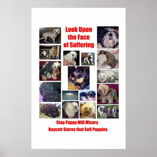 Puppy Mills Breed Misery Poster (Voorkant)
