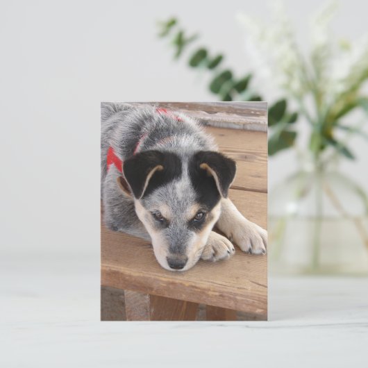 Puppy Mischief Briefkaart (Staand voorkant)