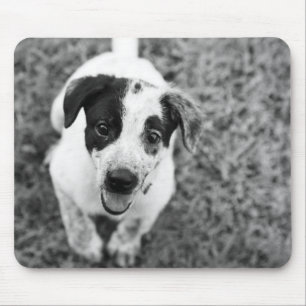 Puppy Muismat