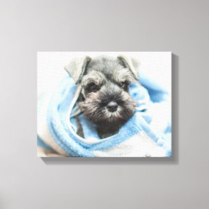 Puppy na Bath Canvas Afdruk