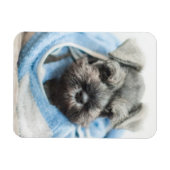 Puppy na Bath Magneet (Horizontaal)