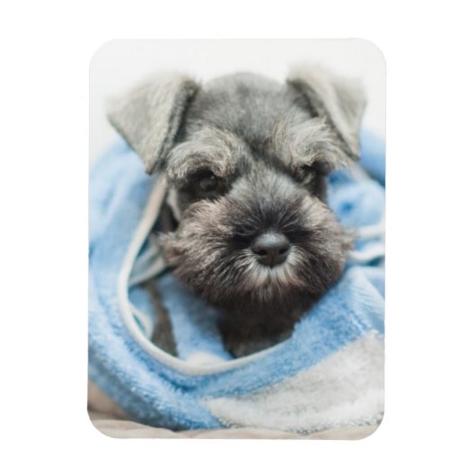 Puppy na Bath Magneet (Verticaal)