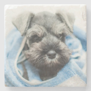 Puppy na Bath Stenen Onderzetter