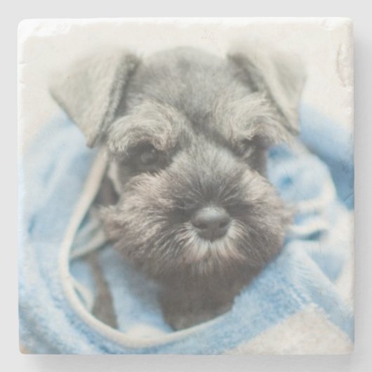 Puppy na Bath Stenen Onderzetter (Voorkant)