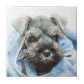 Puppy na Bath Tegeltje (Voorkant)