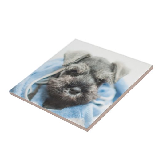 Puppy na Bath Tegeltje (Zijkant)