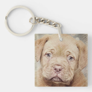 Puppy, Natuur, Hond Sleutelhanger