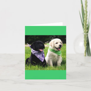 Puppy Note-kaart voor gele en zwarte labrador Kaart
