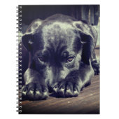 Puppy Notitieboek (Voorkant)