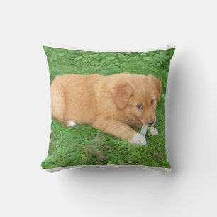 puppy nova scotia duck tolling retriever kussen
