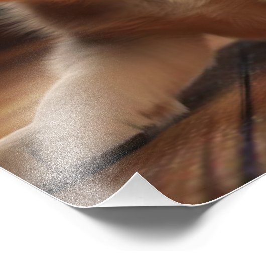 Puppy Nursery & Kinderkamer Prints Foto Afdruk (Hoek)