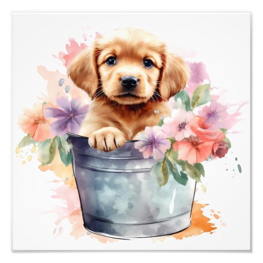 Puppy Nursery & Kinderkamer Prints Foto Afdruk (Voorkant)
